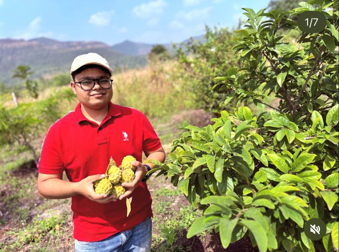 Tanuj holding custard apples at a farm